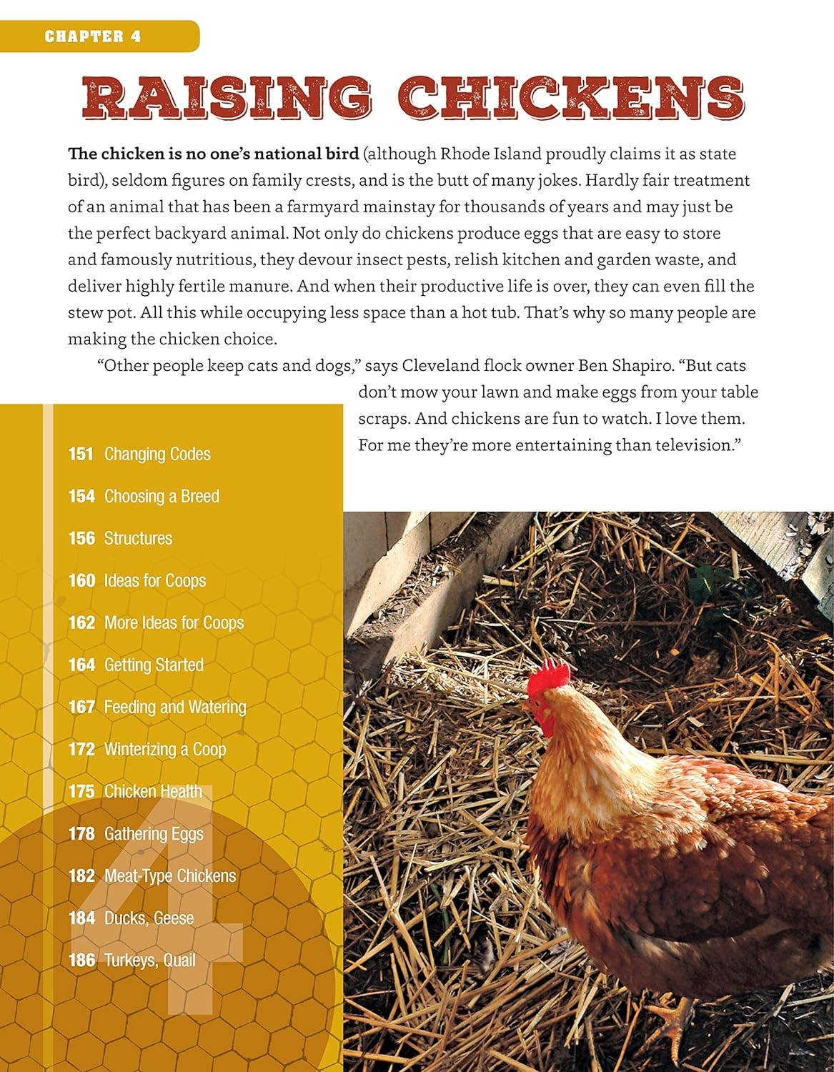 Backyard Homesteading - Second Revised Edition