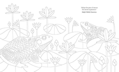 Joy of Mindfulness Coloring