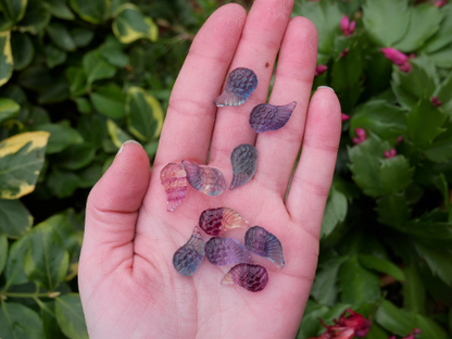 Fluorite Wings