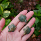 Moss Agate Turtle - Spirit Animals