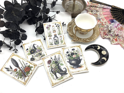 Vintage Herbalist witch Greeting Card Black Tea and Roses
