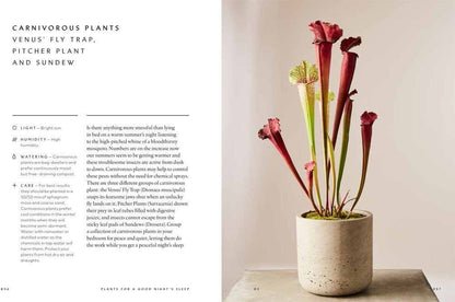 The Healing Power of Plants: Hardcover