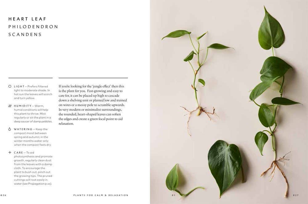The Healing Power of Plants: Hardcover