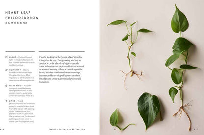 The Healing Power of Plants: Hardcover