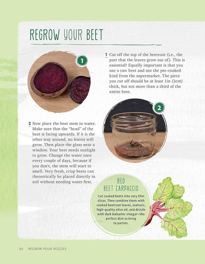 Regrow Your Veggies - Growing from Roots, Cuttings & Scraps