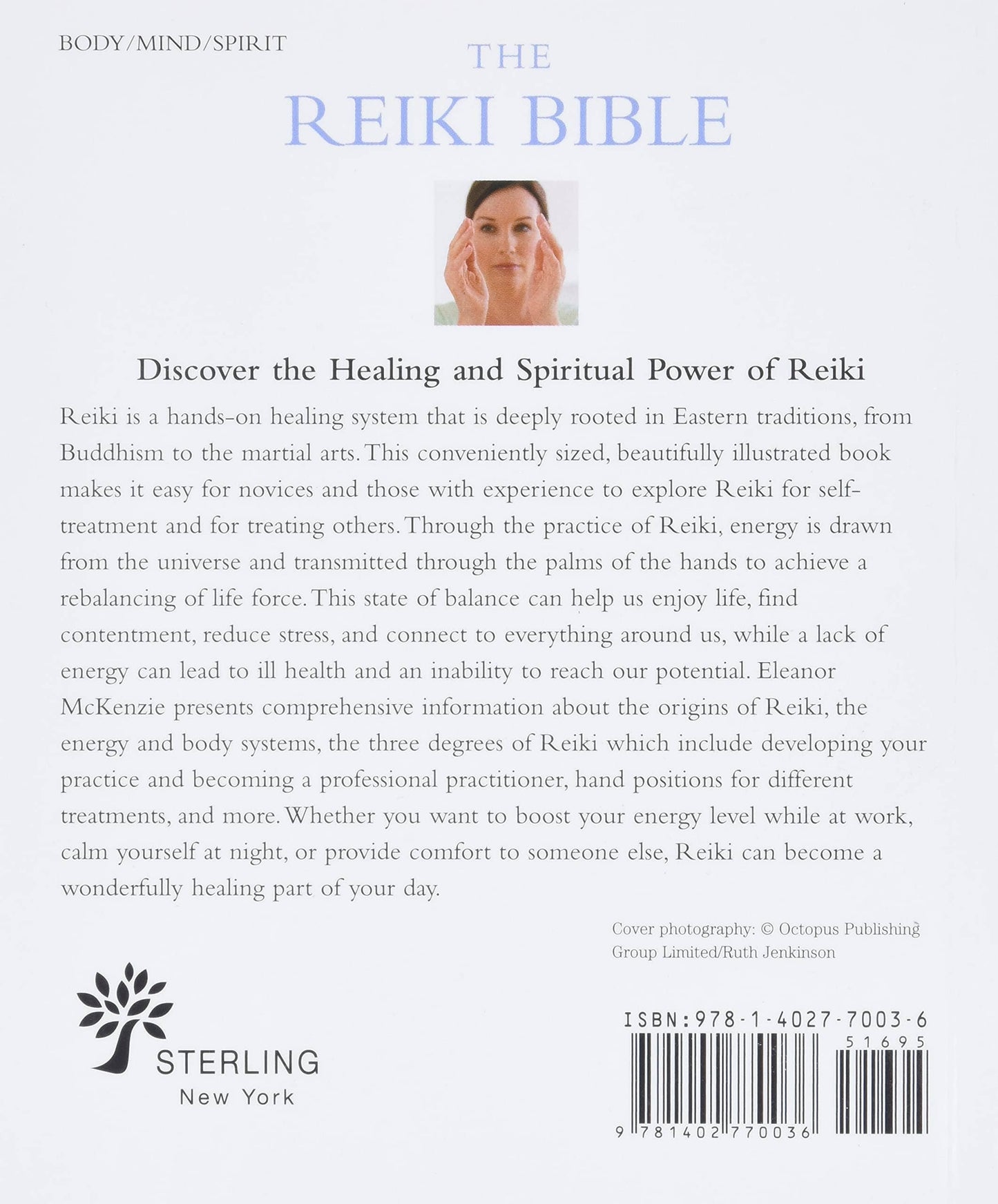 Reiki Bible: Trade Paperback