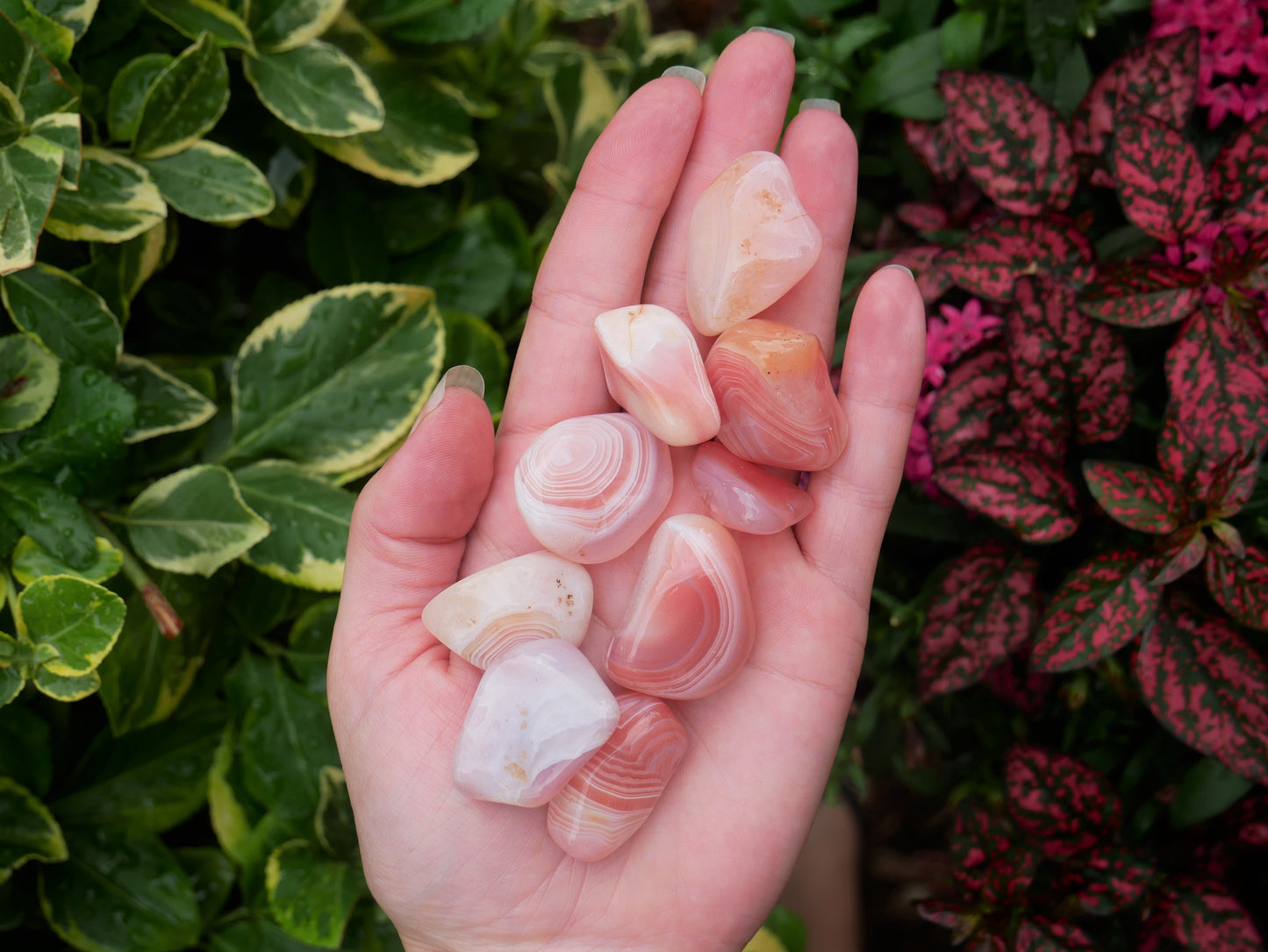 Peach Agate Stones