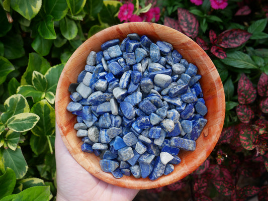 Lapis Lazuli Mini Stones