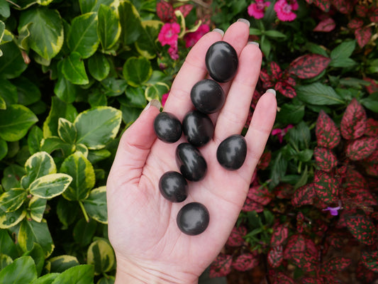 Black Agate Tumbled Stones