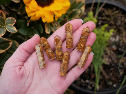 Agate Orgonite Points