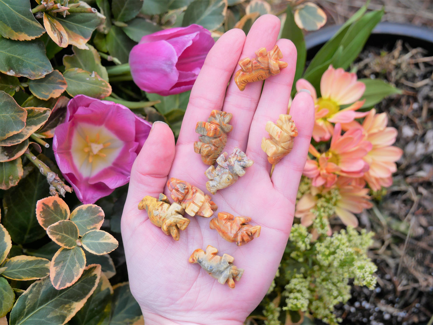 Three Horned Dinosaur Crazy Lace Agate