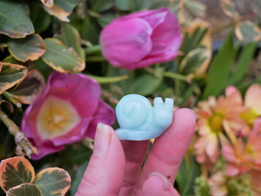 Caribbean Calcite Snail