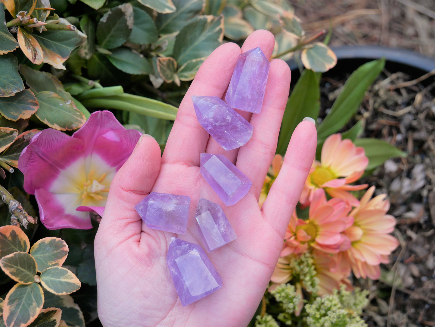 Amethyst CHIPPED Points