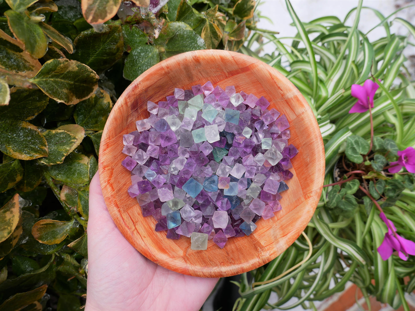 Fluorite Octahedron SMALL