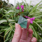 Fluorite Octahedron Large