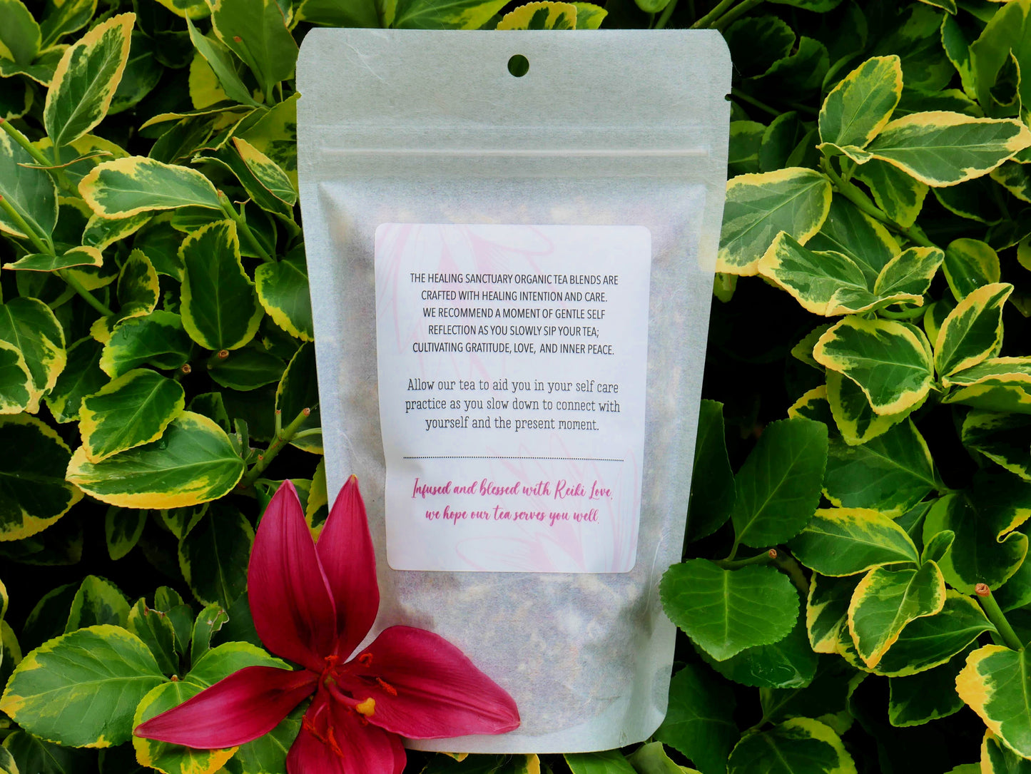 Body Ease Organic Tea - The Healing Sanctuary