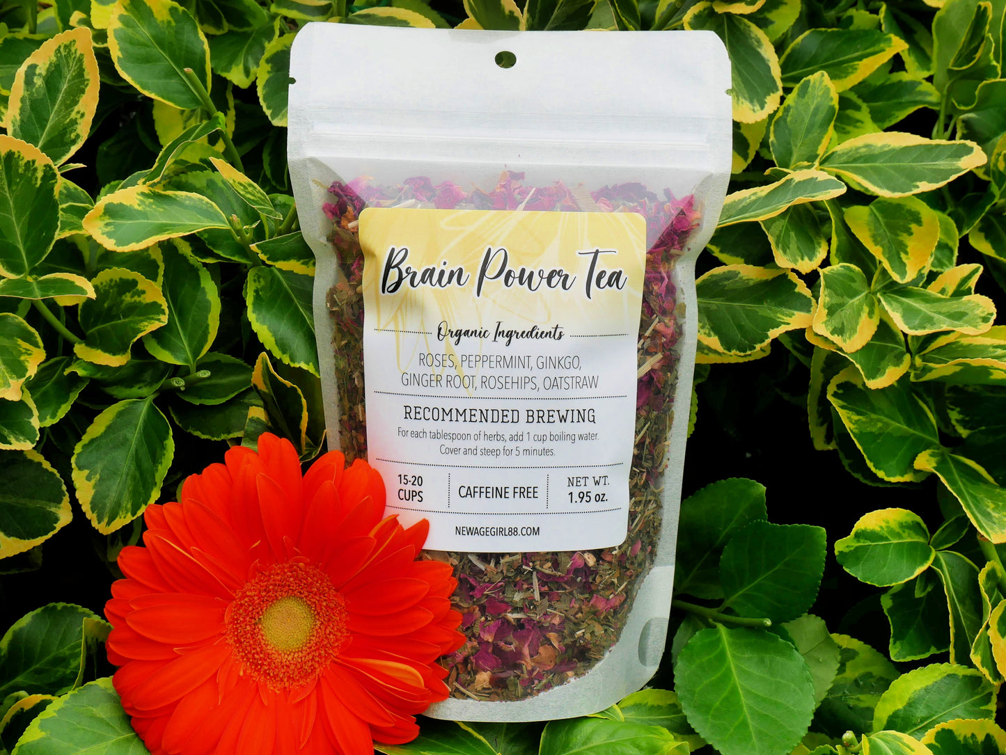 Brain Power Organic Tea - The Healing Sanctuary