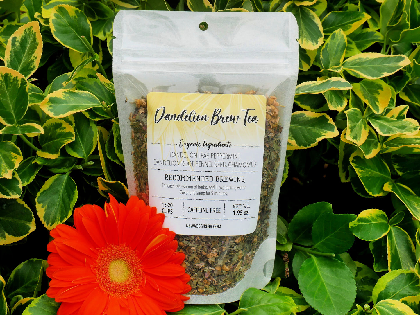 Dandelion Brew Organic Loose Tea