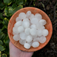 Selenite Tumbled Stones