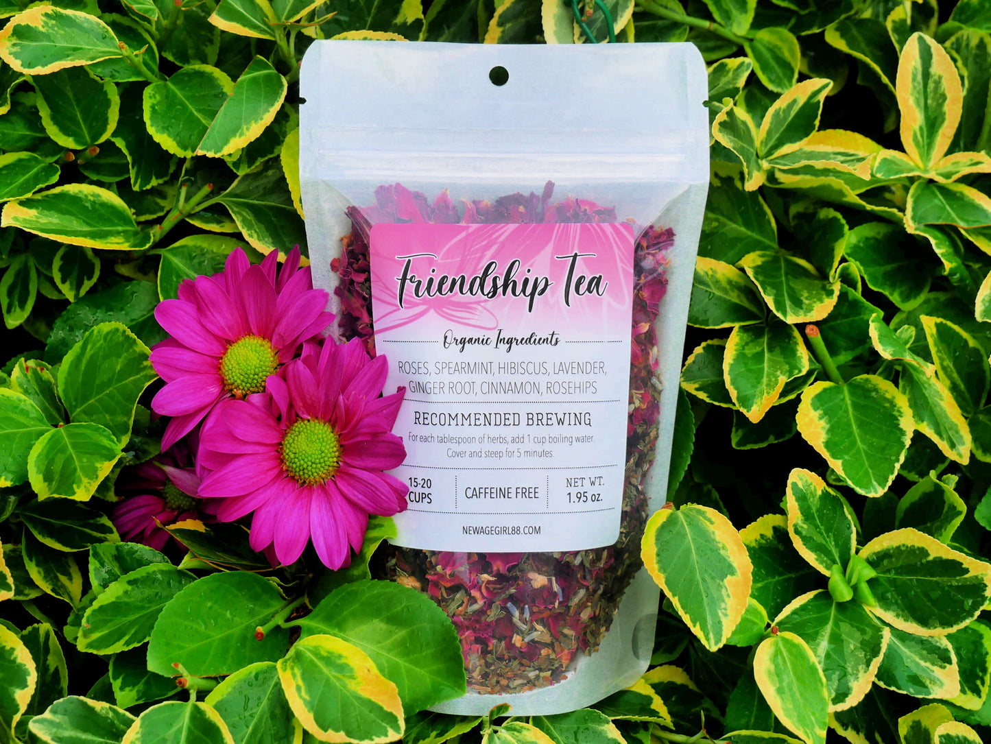 Friendship Organic Loose Tea