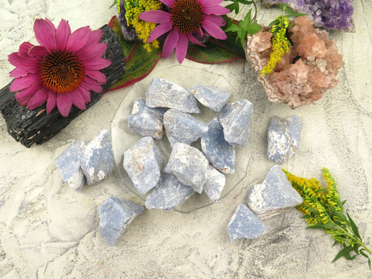 Angelite Raw Stones - The Healing Sanctuary