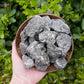 Indigo Gabbro Raw Stones