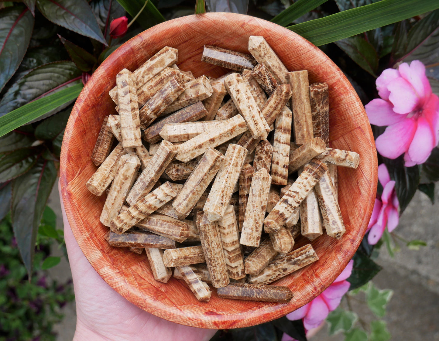 Aragonite Points - The Healing Sanctuary