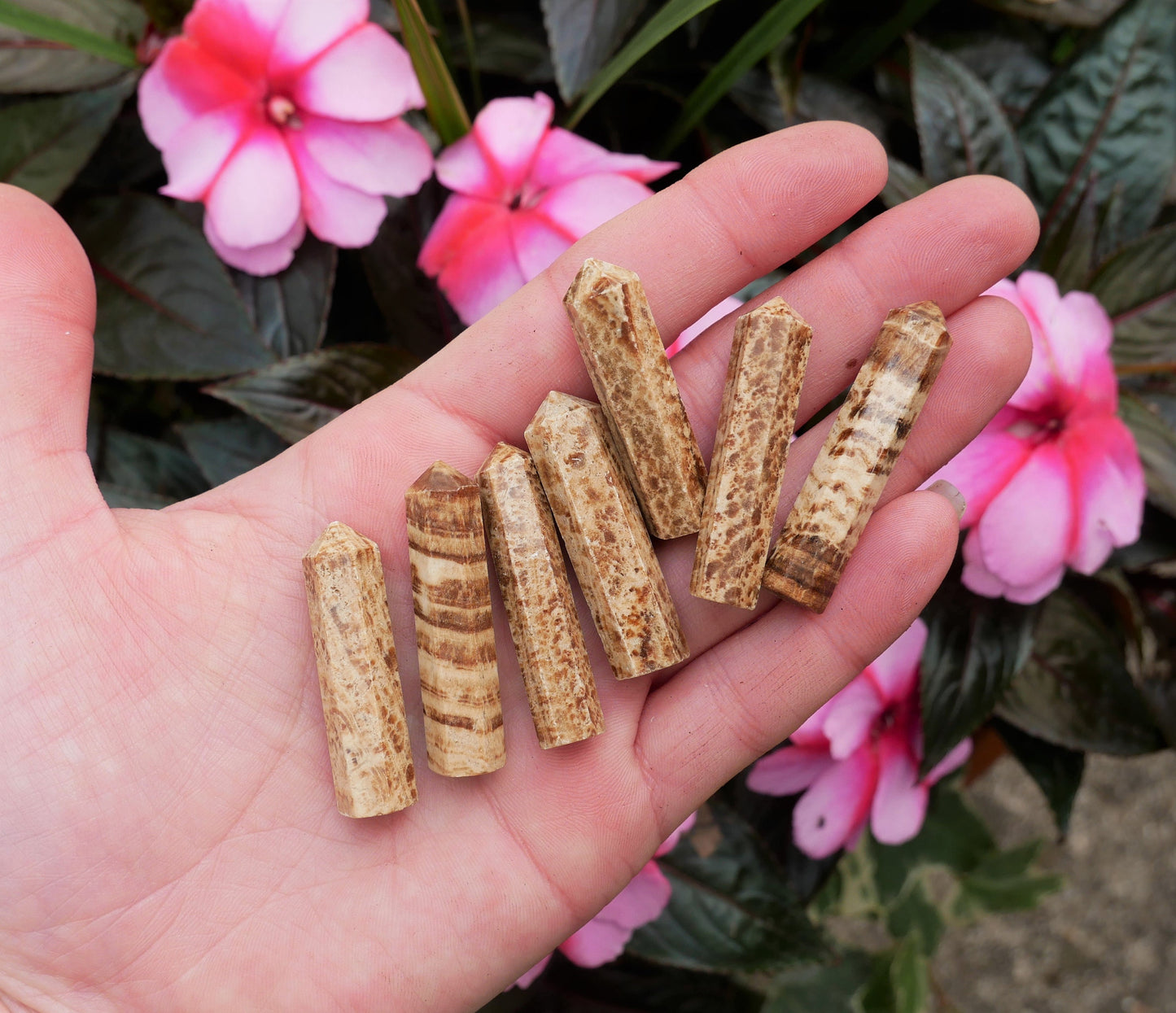 Aragonite Points - The Healing Sanctuary