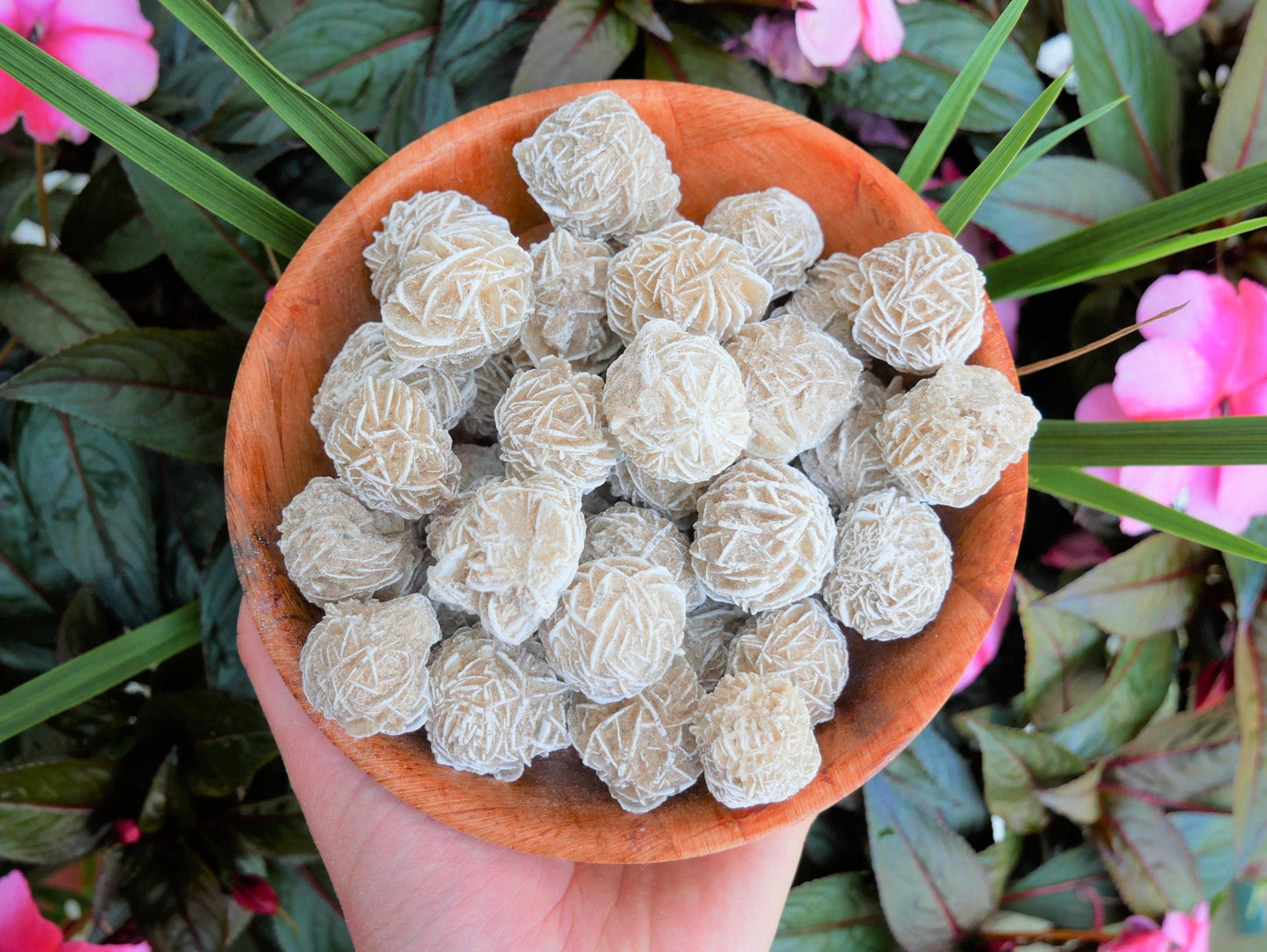 Desert Gypsum Rose Clusters - 25 Clusters