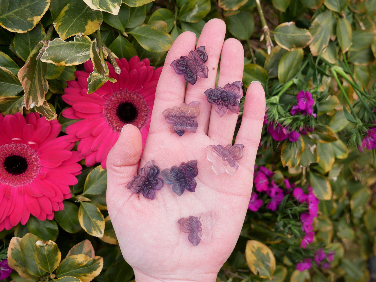 Fluorite Butterfly - Spirit Animals