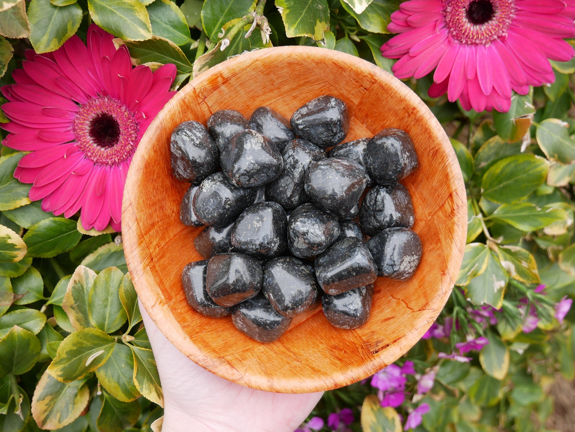 Black Jasper Galaxy Stones - The Healing Sanctuary