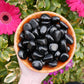 Black Obsidian Stones - The Healing Sanctuary