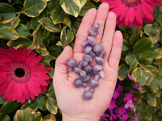 Lepidolite Mushrooms