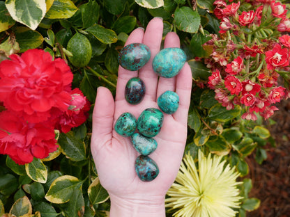 Chrysocolla Stones - The Healing Sanctuary