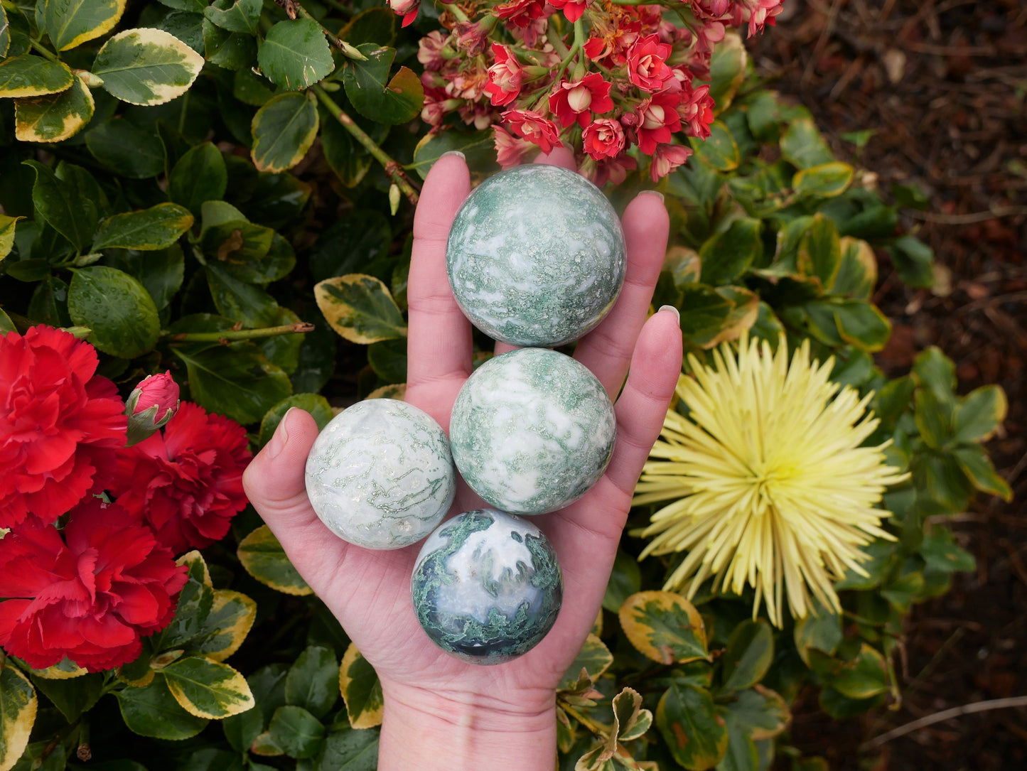 Tree Agate Spheres - 1 Kilo