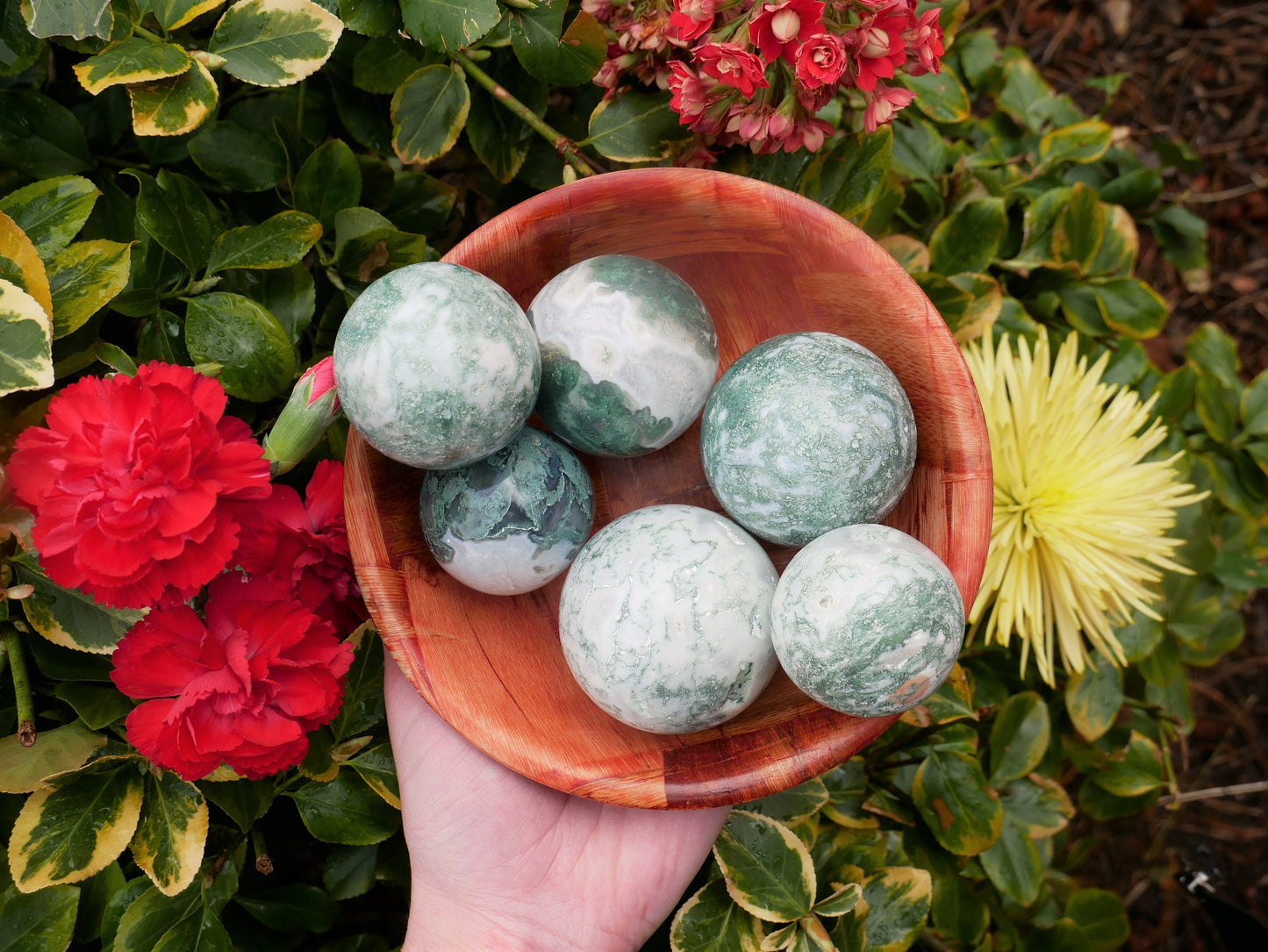 Tree Agate Spheres - 1 Kilo