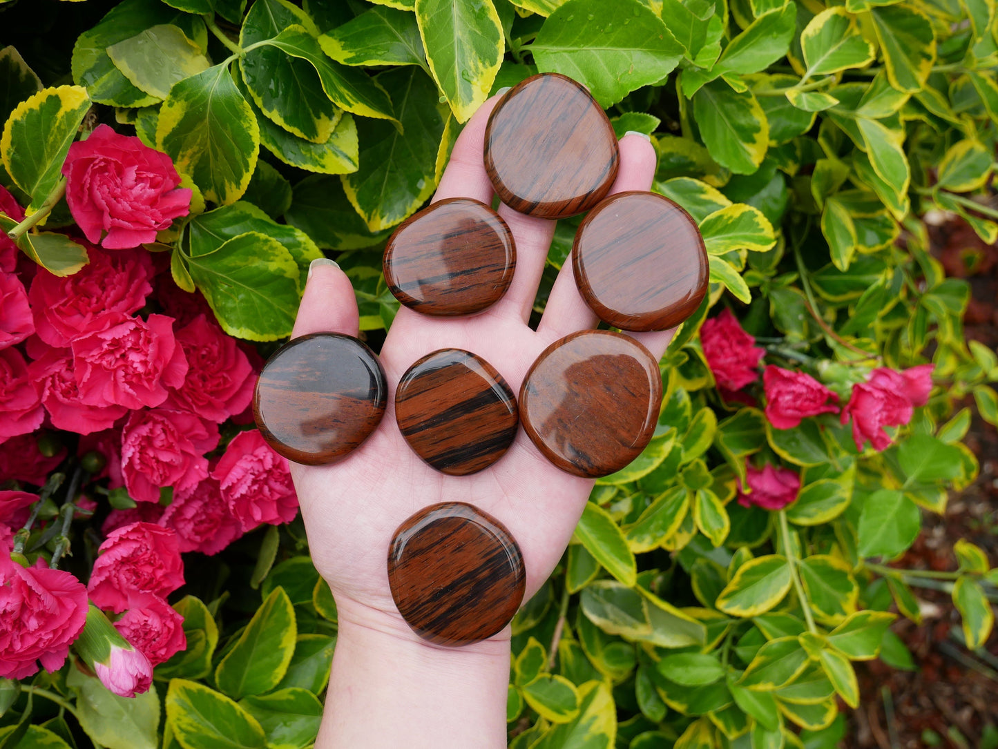 Mahogany Obsidian Palm Stones