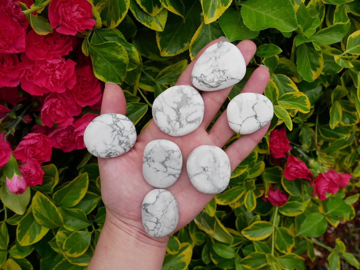 Howlite Palm Stones