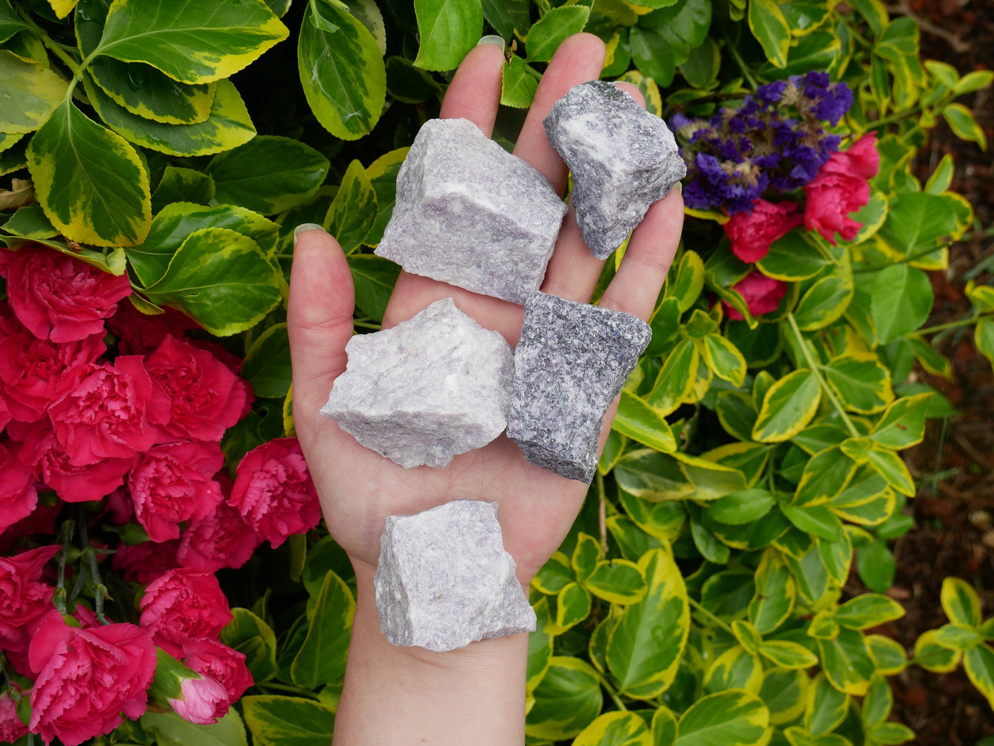 Lepidolite Raw Stones