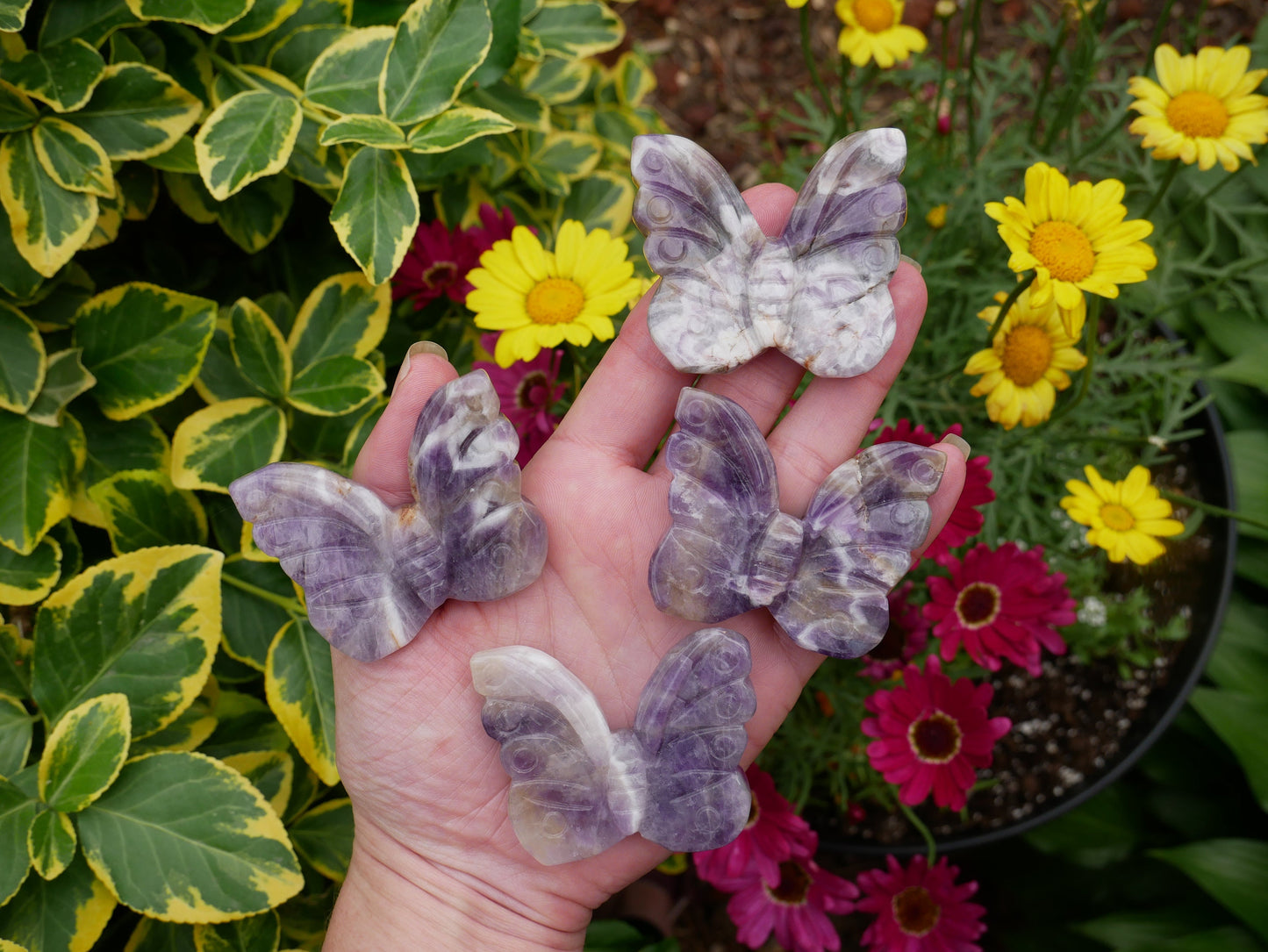 Amethyst Butterfly - The Healing Sanctuary