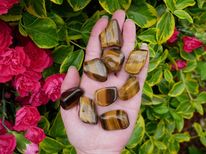 Tigers Eye Stones