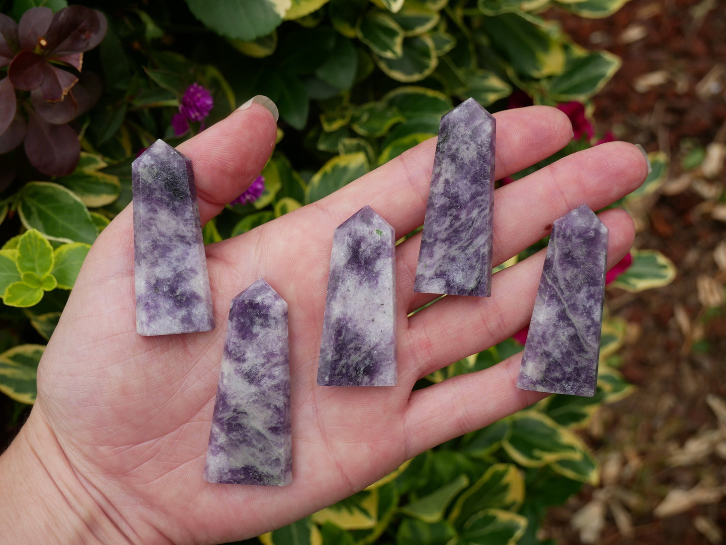 Lepidolite FLAT Points