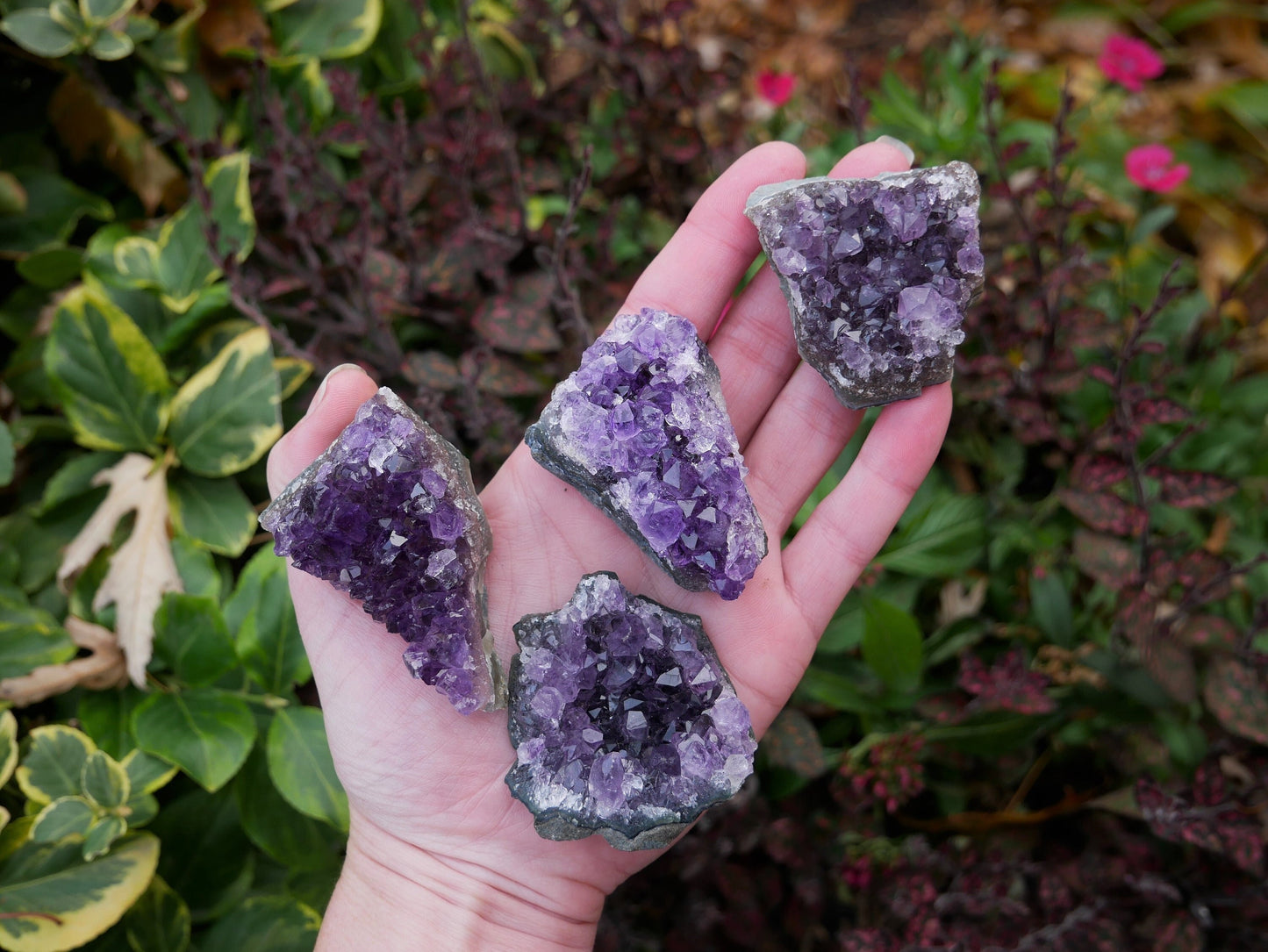 Amethyst DRUZY Crystals - Natural Amethyst - Spiritual Stones - Healing Stones - REIKI MASTER